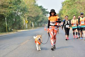 BIB: 
                            <button type="button" onclick="openModal(10196307)" class="btn btn-primary btn-sm float-right btn-popup" data-toggle="modal" data-target=".modal-high-quality">
                        <i class="fas fa-shopping-cart"></i> Add to Cart
                    </button>
                                            <button type="button" onclick="isThisMe(10196307, true)" class="btn btn-success btn-sm float-right btn-popup btn-isme hidden" data-toggle="tooltip" data-placement="bottom" title="นี่คือรูปของคุณใช่ไหม คลิกที่นี่เพื่อเอาเข้าอัลบั้ม">
                        <i class="fas fa-plus"></i> Add to album
                    </button>
                    <button type="button" onclick="isThisMe(10196307, false)" class="btn btn-warning btn-sm float-right btn-popup btn-isnotme hidden">
                        <i class="fas fa-ban"></i> Remove from album
                    </button>